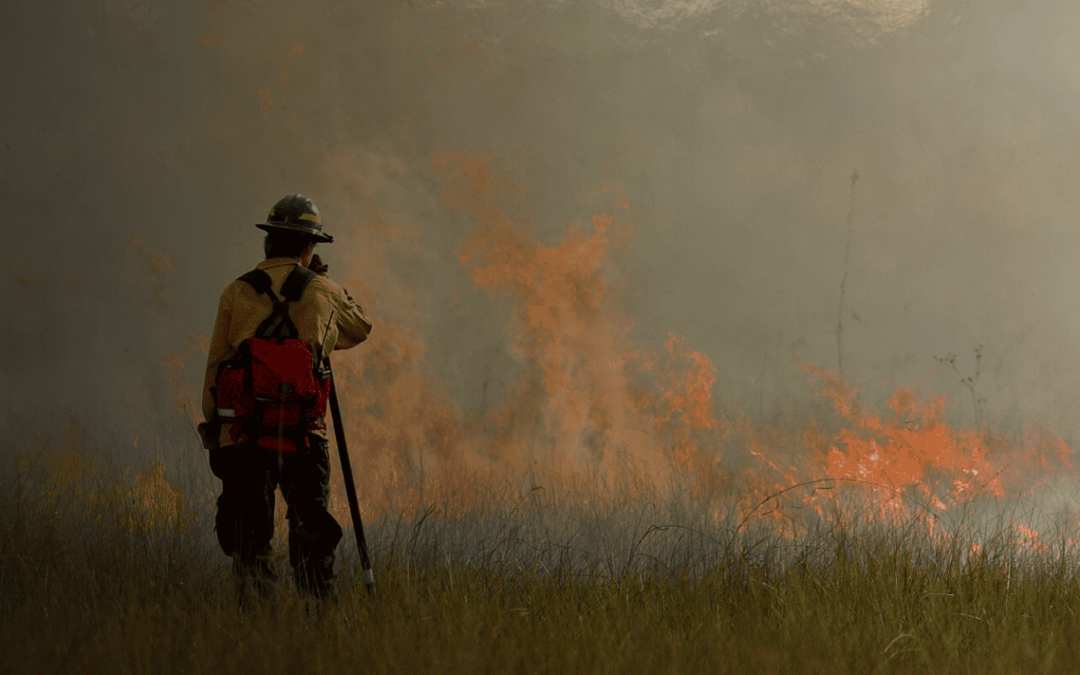 Community Wildfire Defense Grant Program Accepting Applications