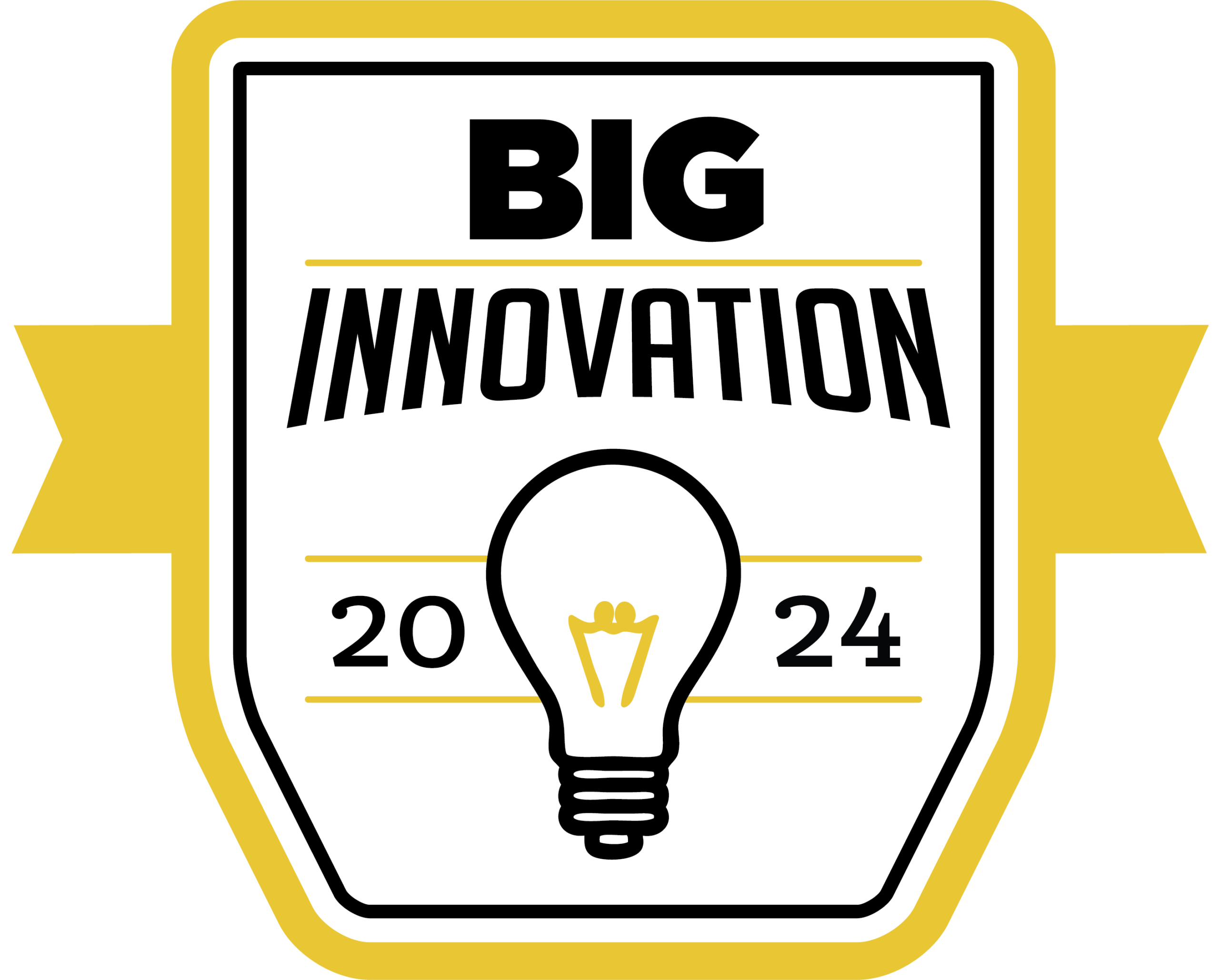 BIG Innovation 2024 